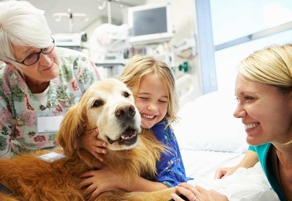 Tratamento terapêutico com animais