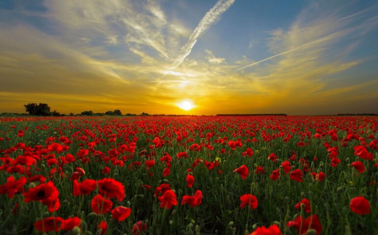 A consciência e o desenvolvimento pessoal